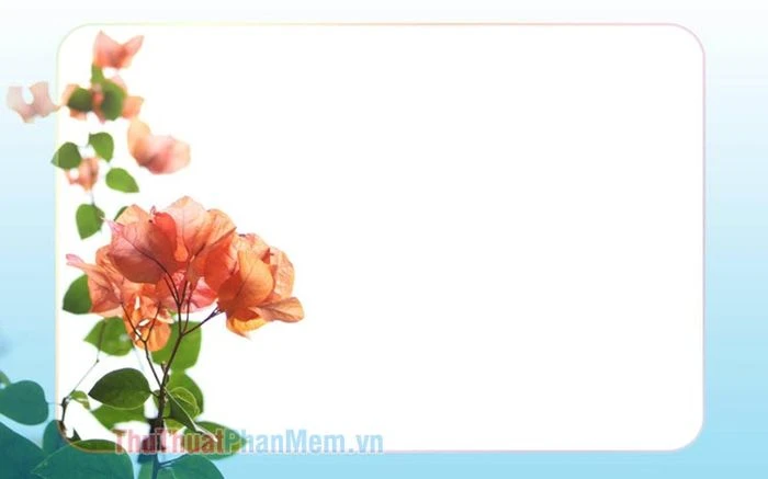 Khung hình nền đẹp cho máy tính