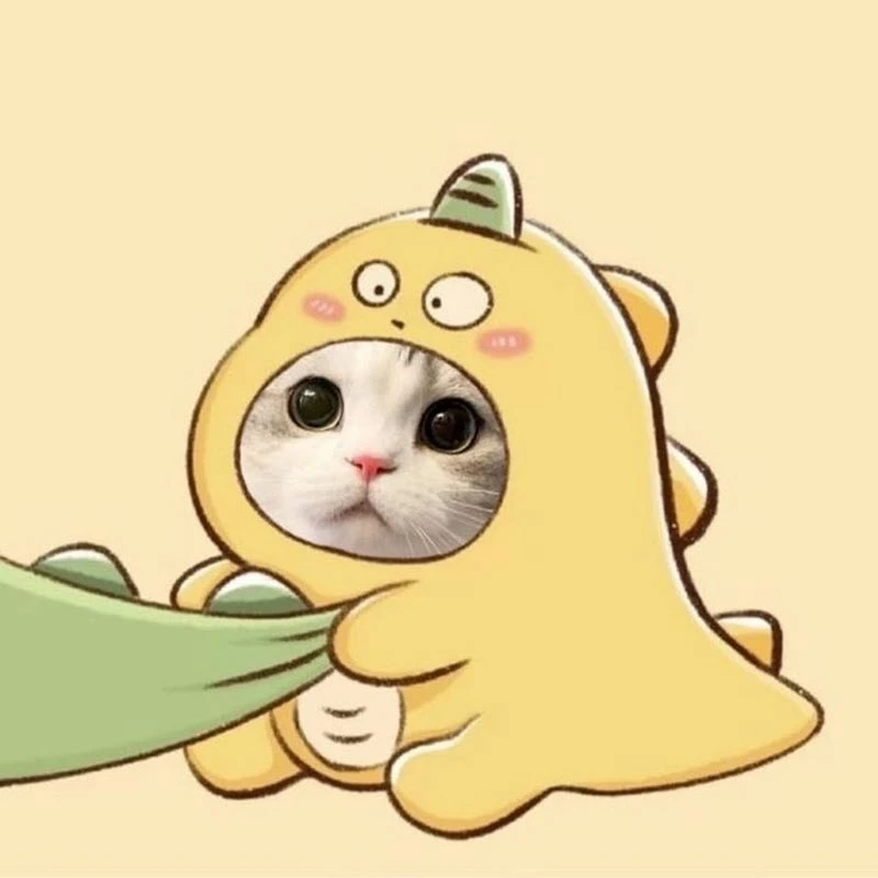 Mèo cute
