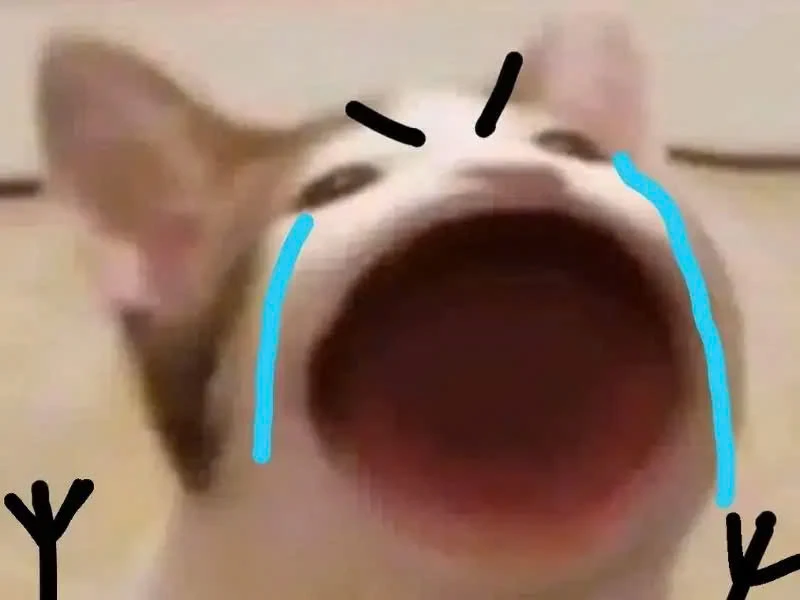 Meme mèo khóc