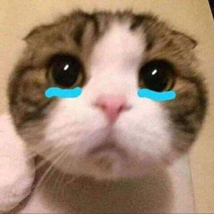Meme hài hước