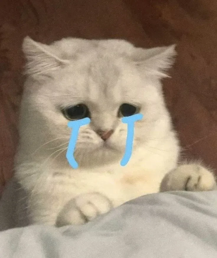 Meme vui buồn