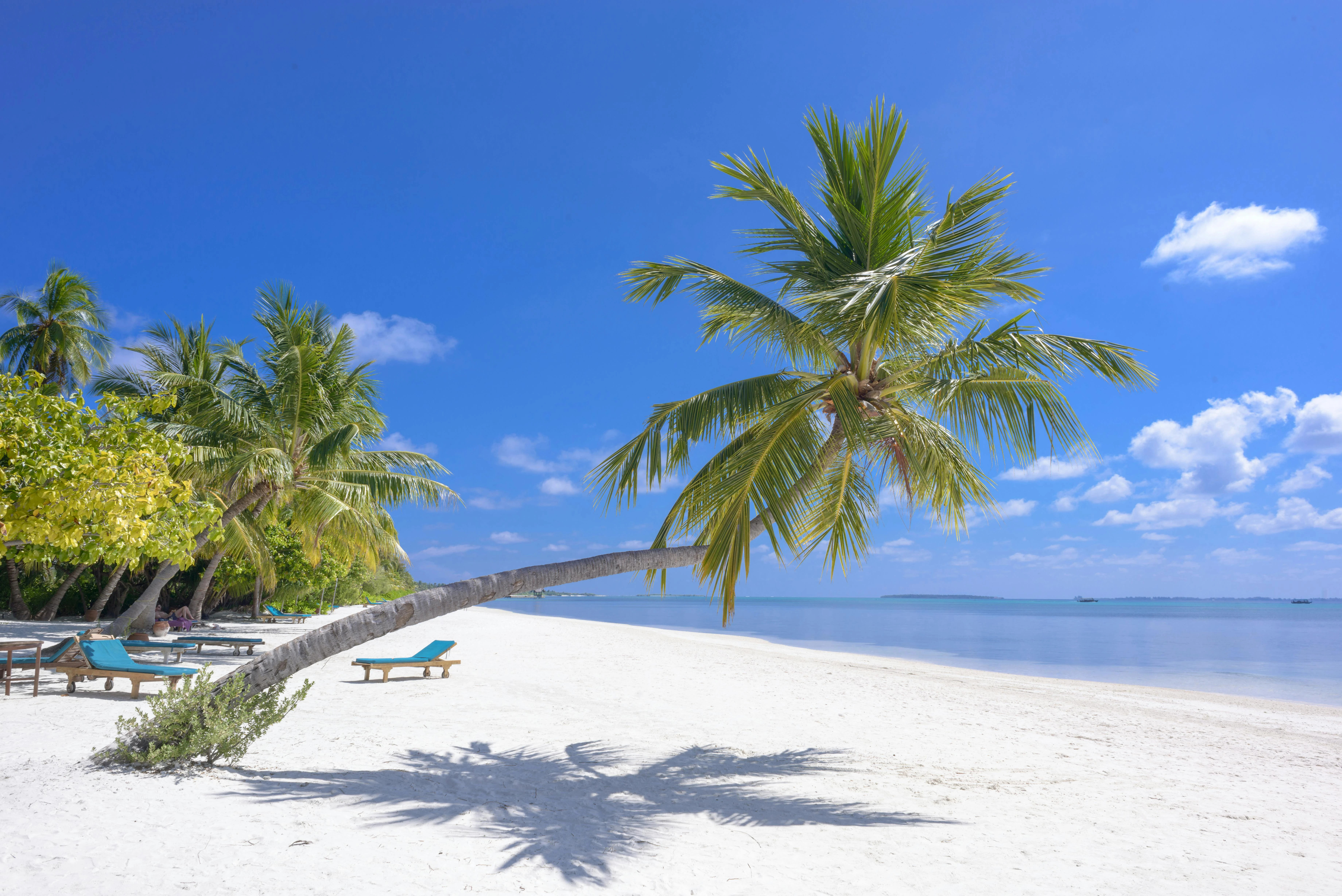 Maldives Beach