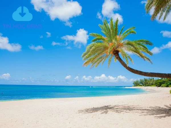 Peaceful Beach