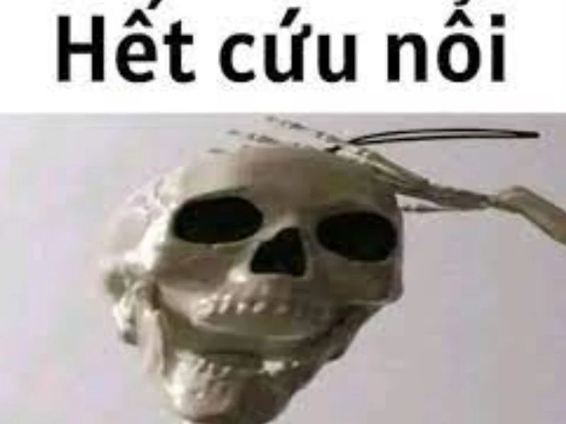 Meme Hết Cứu 1
