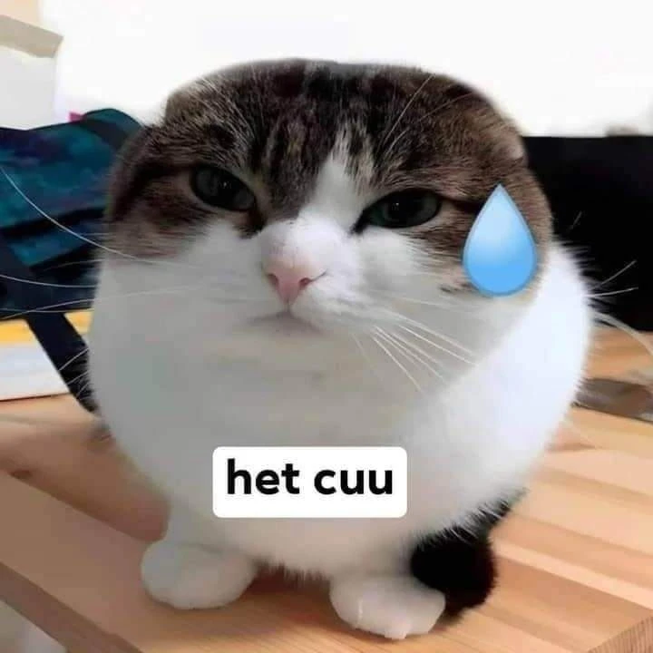 Meme Hết Cứu 8