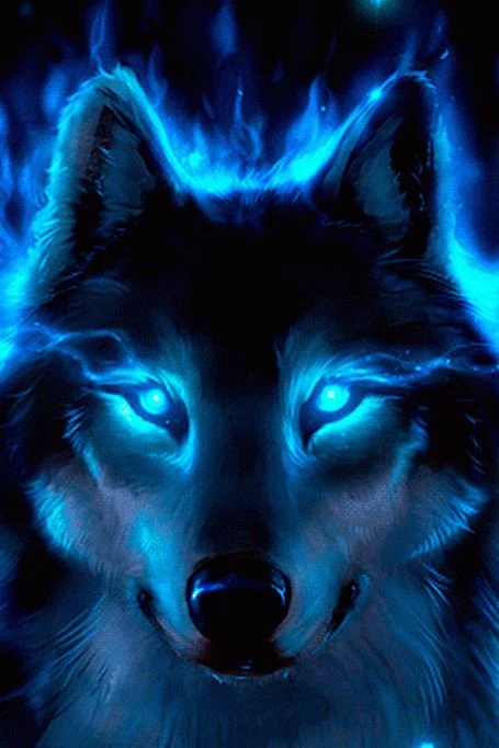 Chó Husky ngầu