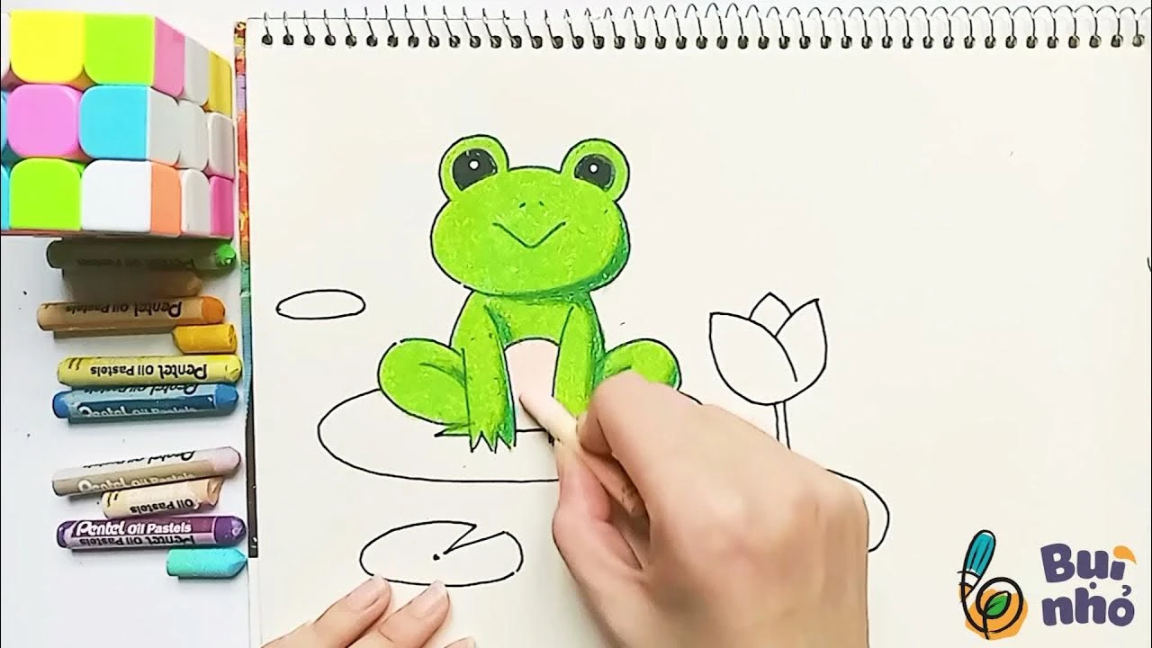 Hình ảnh chú ếch ngồi đáy giếng