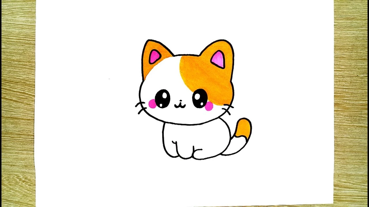 Mèo cute