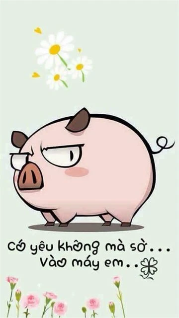 Chó và mèo hài hước