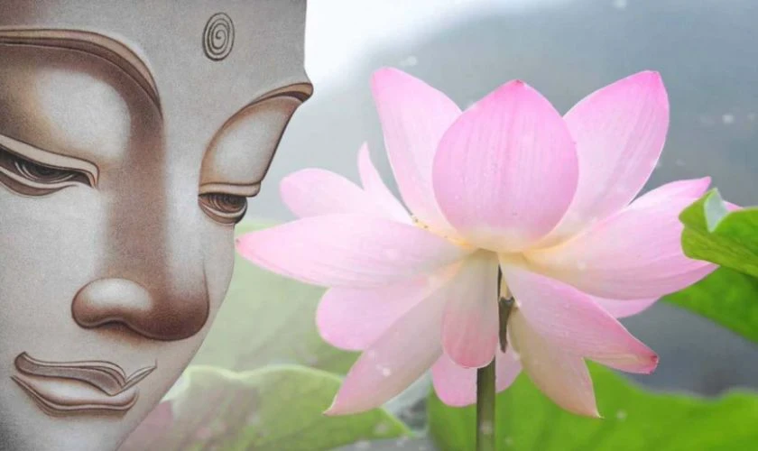 Hình nền hoa sen Phật giáo 1