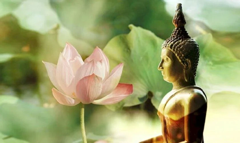 Hình nền hoa sen Phật giáo 9