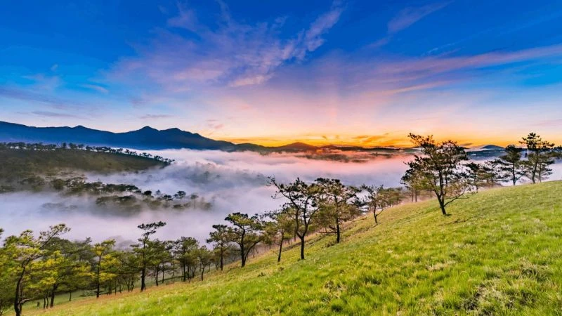 Buổi Sáng Đà Lạt