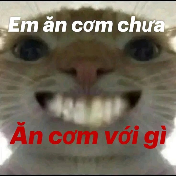 Khám phá văn hóa ẩm thực qua câu hỏi