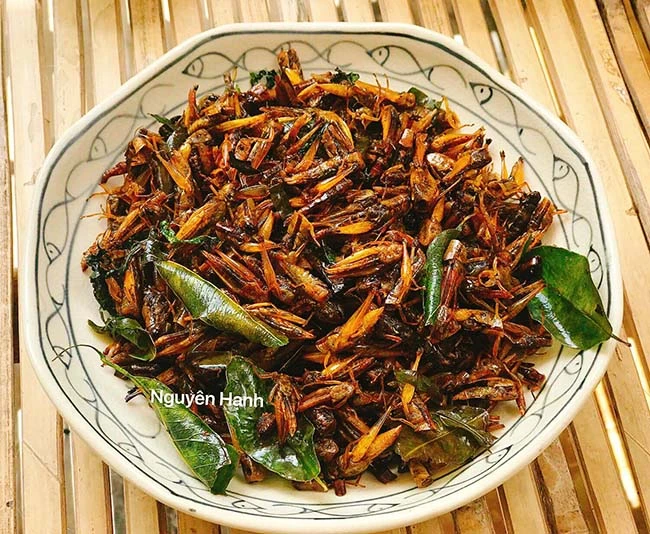 Cào cào chiên giòn