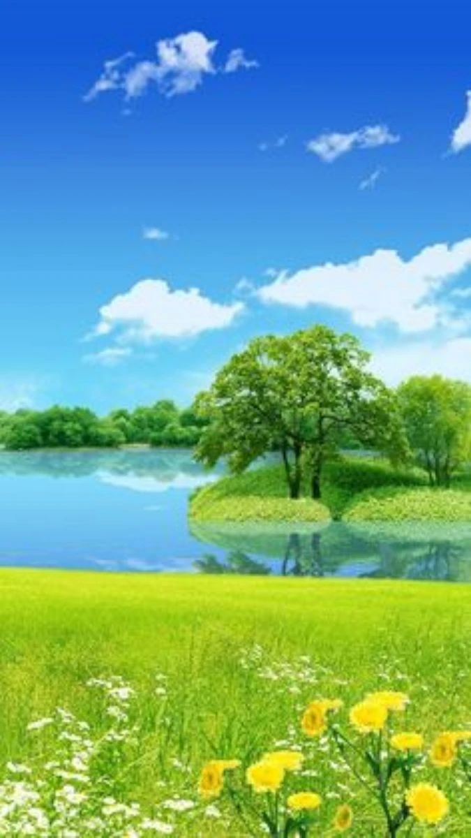 Hình nền chất lượng cao