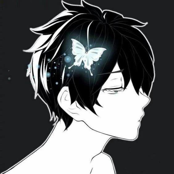 Hình ảnh đẹp cho avatar đôi