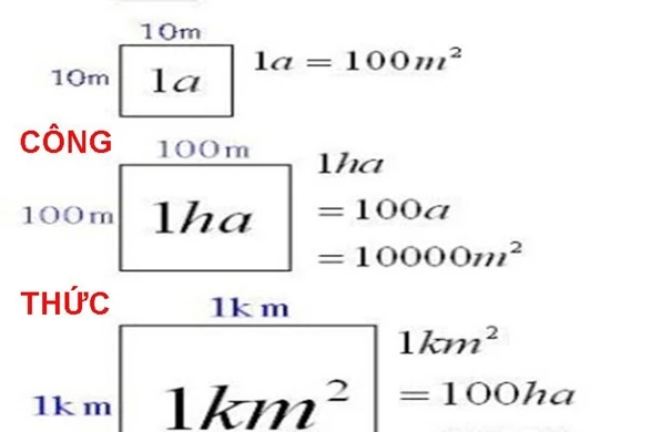 Hecta và quy đổi