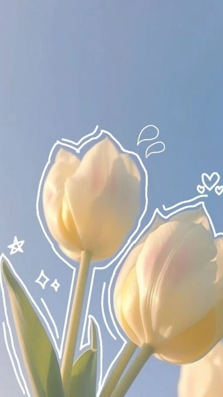 Hình nền hoa tulip tĩnh lặng