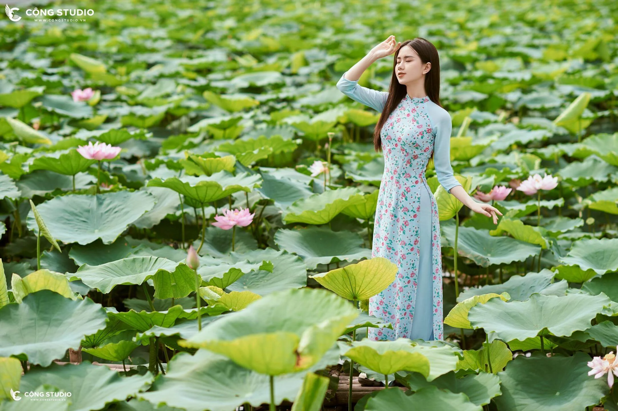 Ngồi bên hồ sen