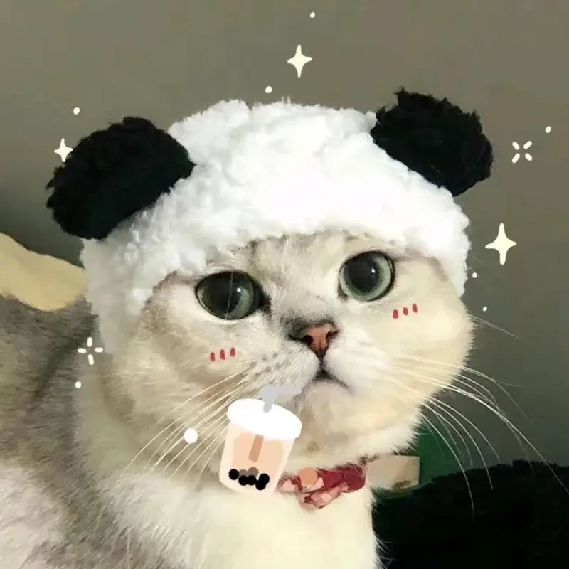 Mèo Chibi Cute
