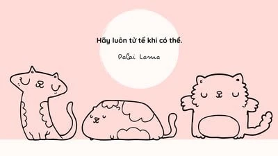 Hình nền tùy chỉnh trên Canva