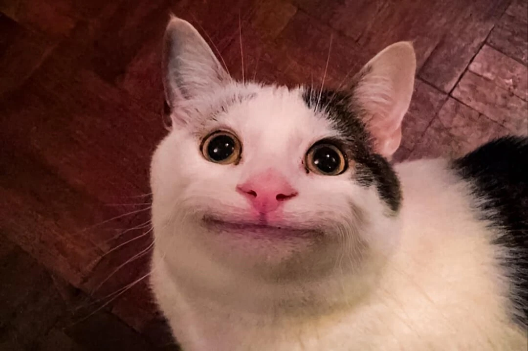 Cùng chờ đón tương lai tươi sáng