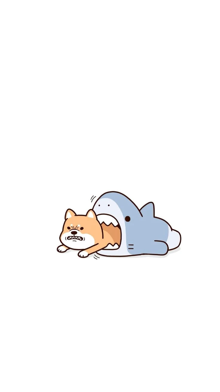 Cá mập cute 6