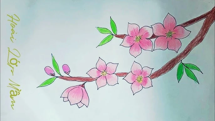 Phác thảo cánh hoa