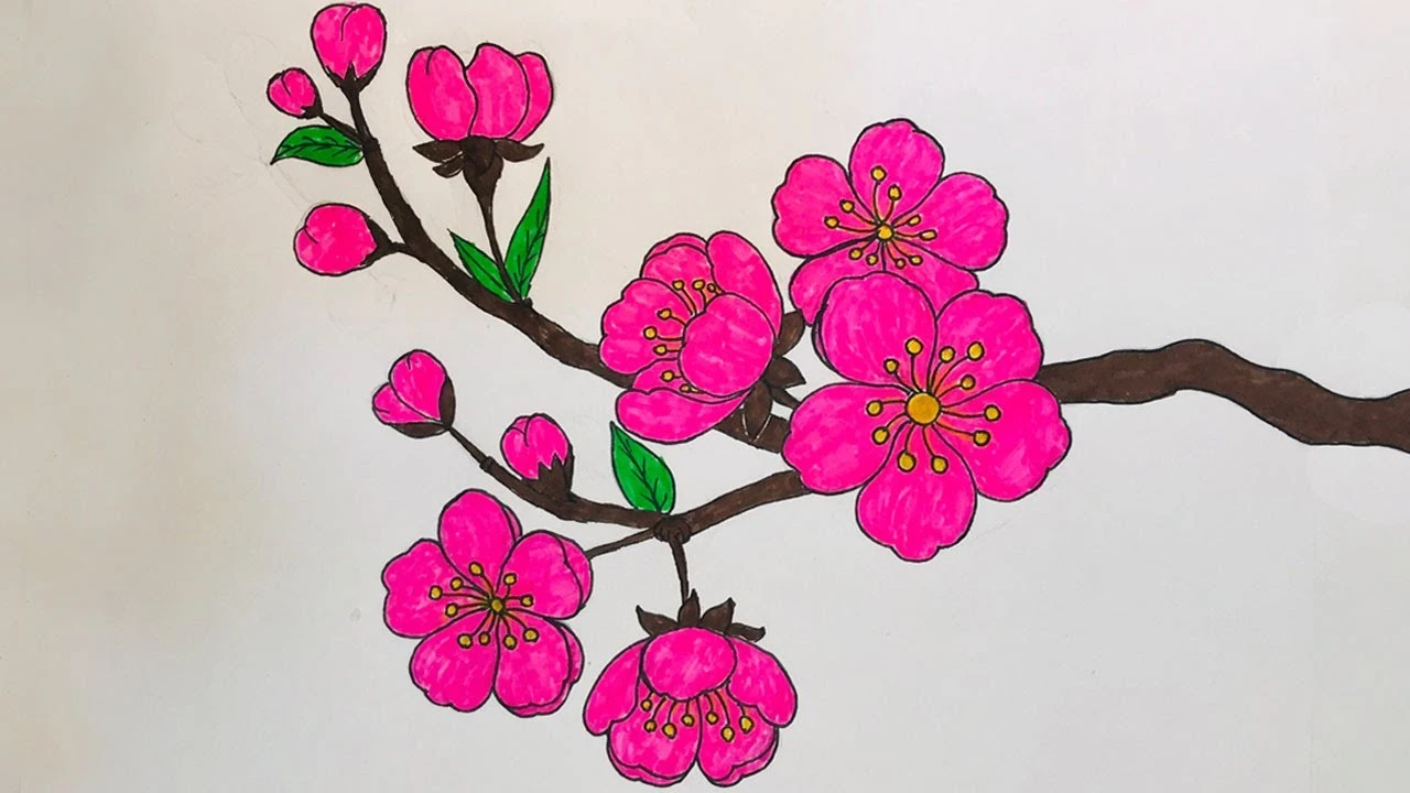 Hình ảnh vẽ hoa đào