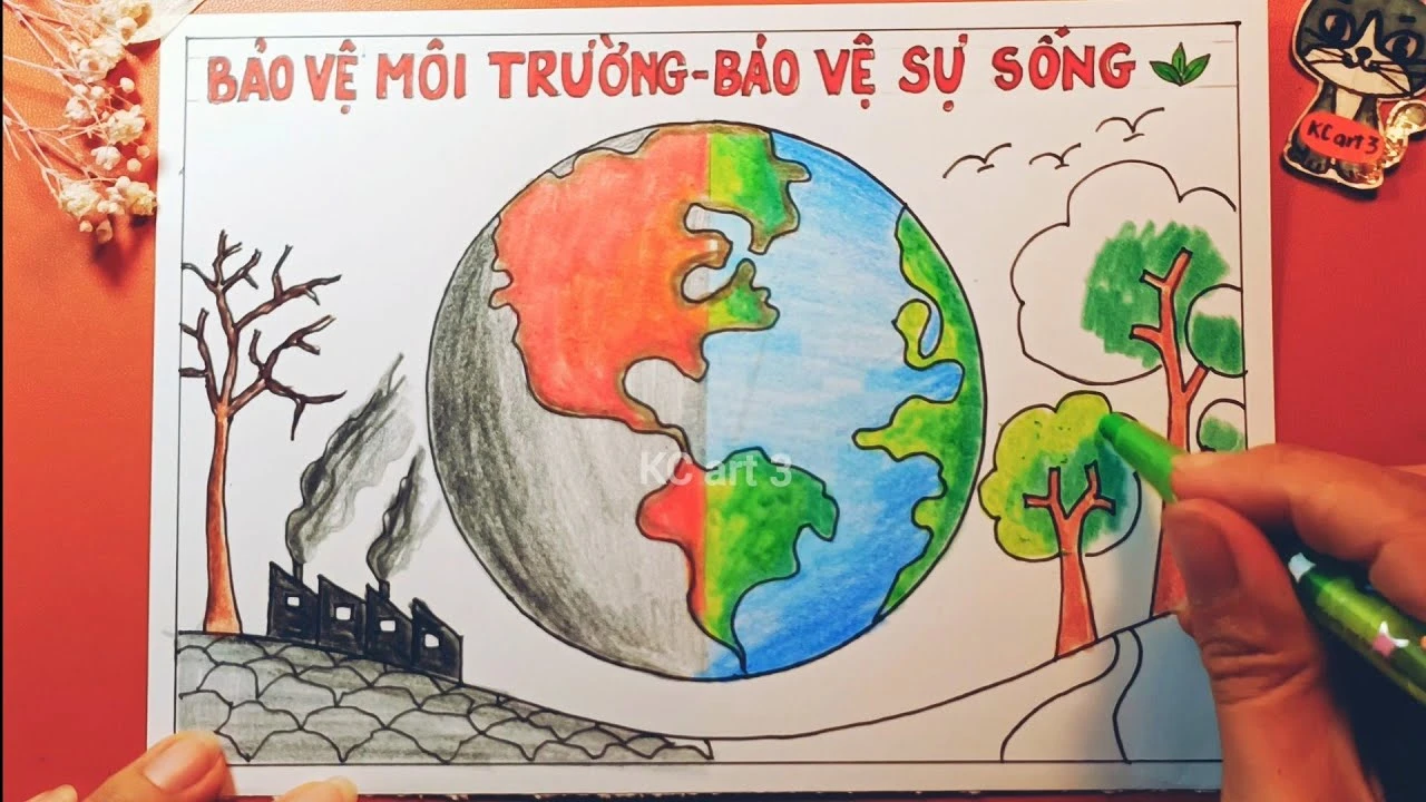 Hình ảnh cây xanh và rừng