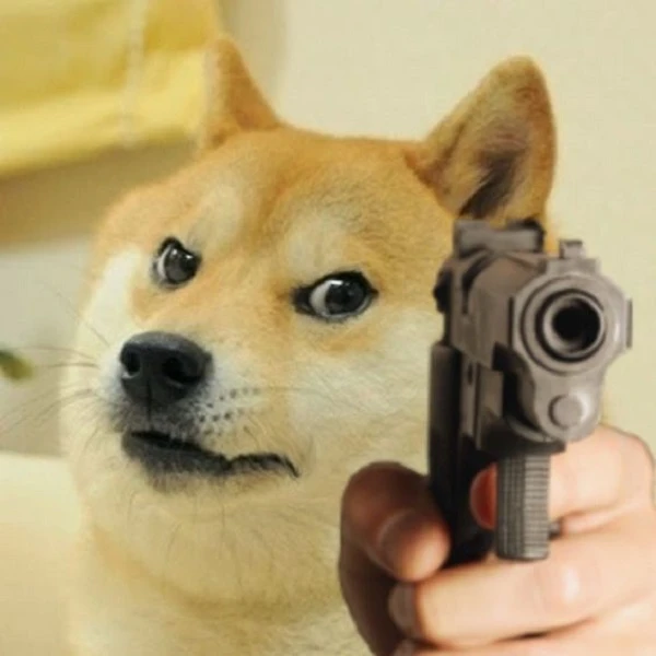Chó Shiba vui nhộn