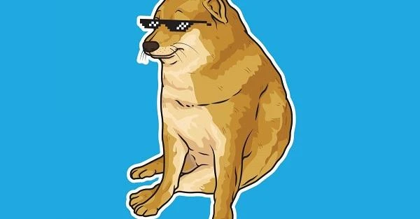Chó Shiba chế ảnh