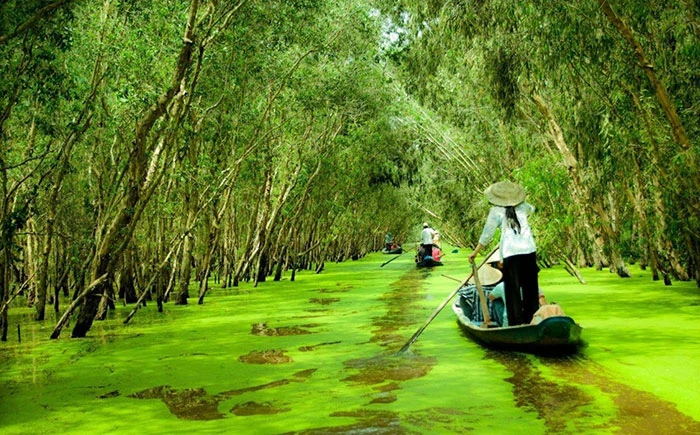 Chợ nổi miền Tây