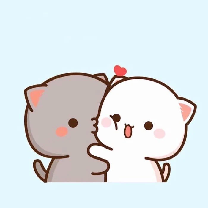 Mèo cute 1