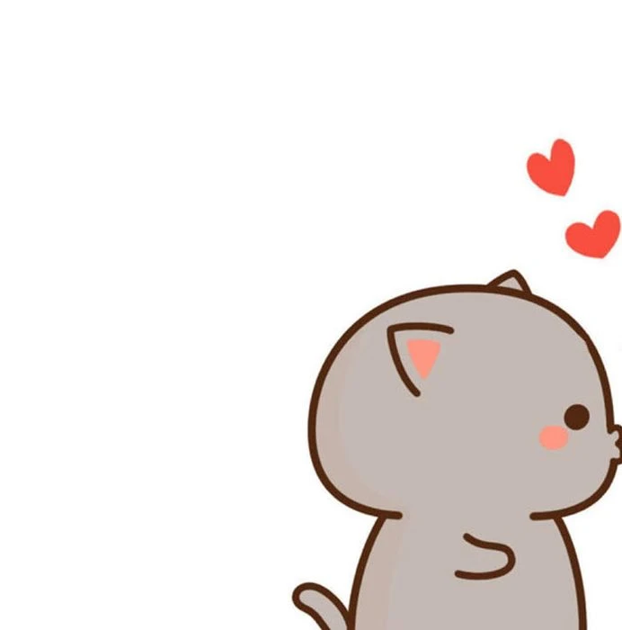 Mèo cute 6