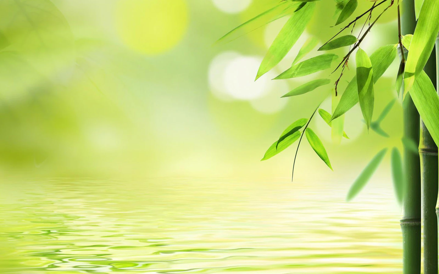 Hình nền đẹp cho máy tính