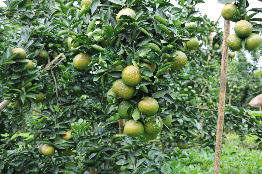 Mùa thu tuyệt đẹp