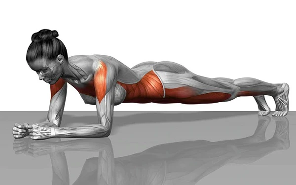 Tư thế plank đúng cách
