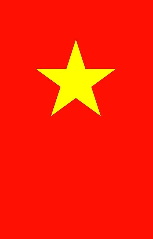 Áo phông mang họa tiết văn hóa Việt Nam