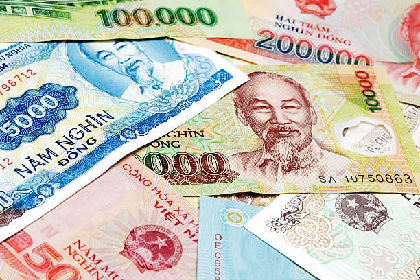 Nhiều loại tiền tệ Việt Nam