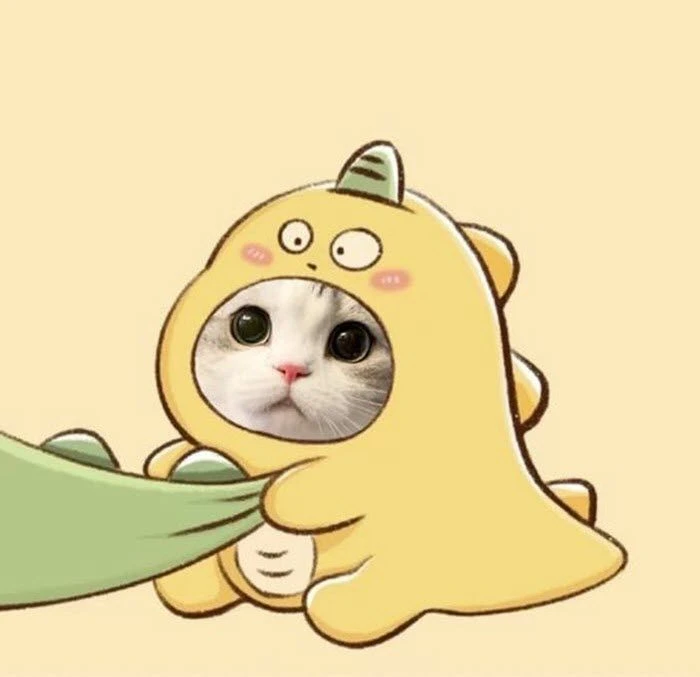 Mèo cute đôi