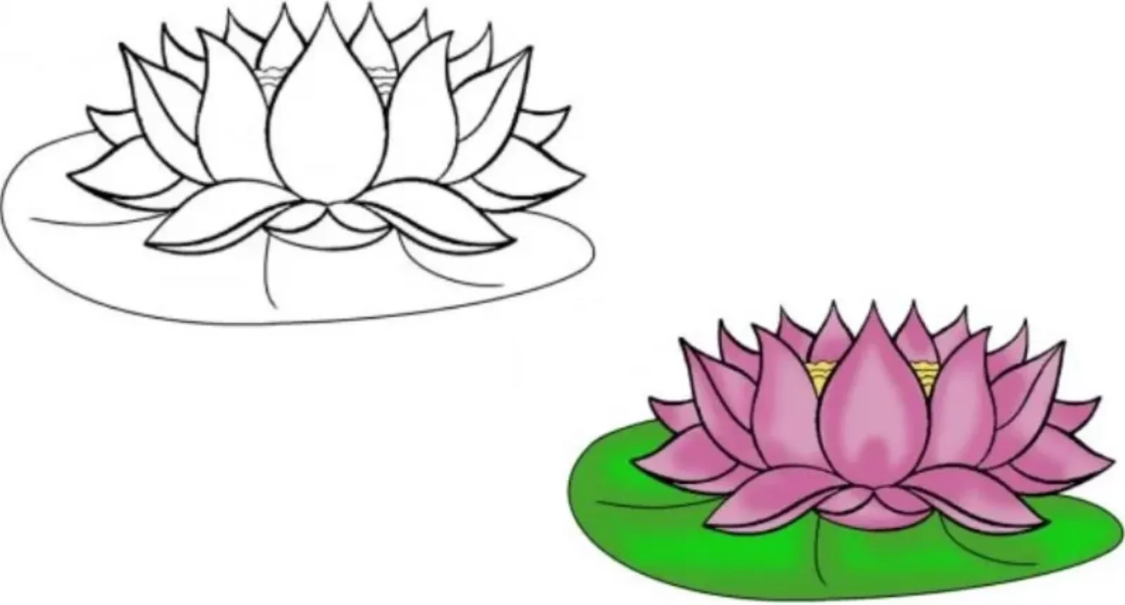 Hình vẽ hoa sen 2