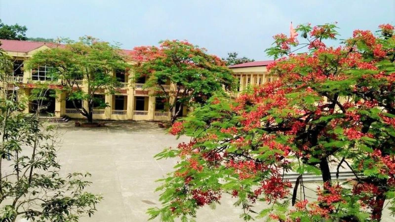 Hình ảnh trường học 1