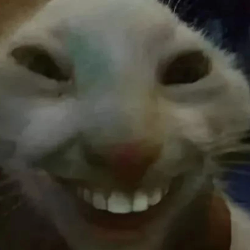 Mèo Cười Đáng Yêu