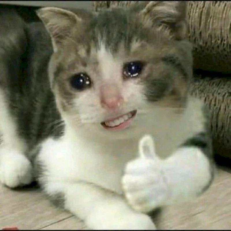 Mèo Cười Nhe Răng