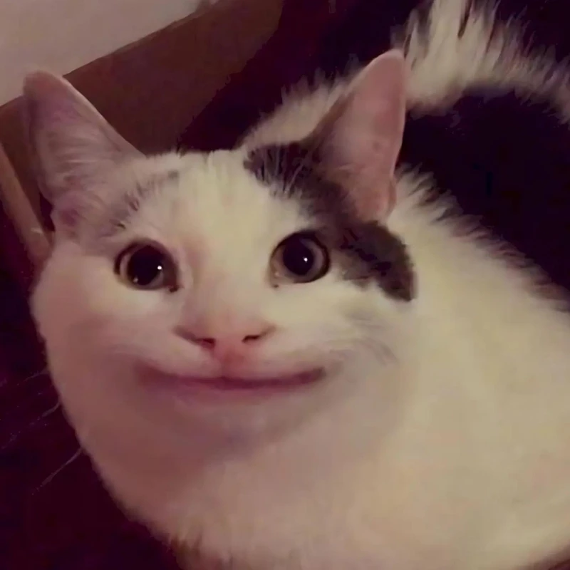 Mèo Cười Đểu