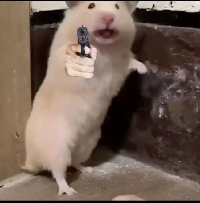Hamster ăn uống