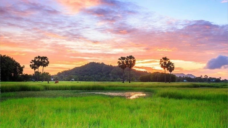 Cảnh Đồng Quê 1