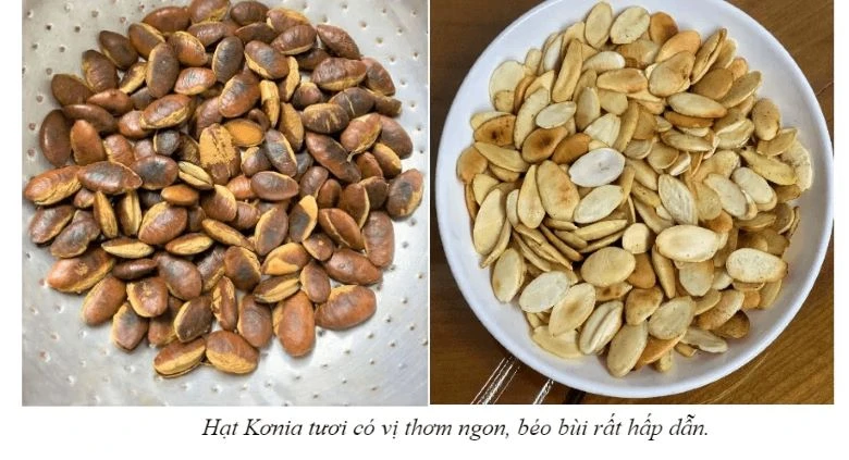 Hạt kơ nia rang