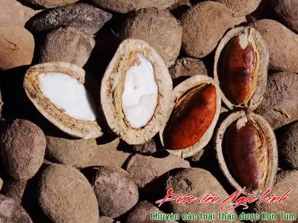 Hạt kơ nia xào rau củ